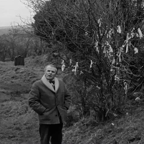 Charlie-and-Rag-Tree