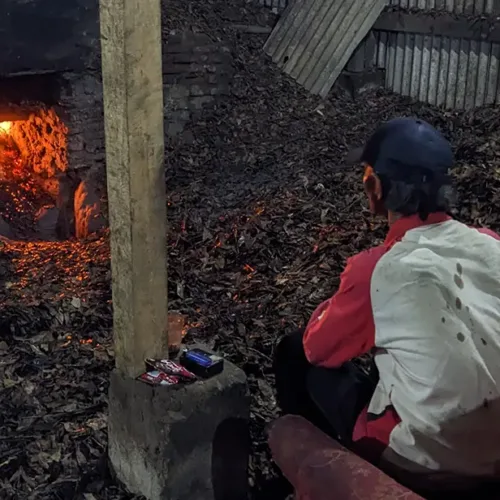 Clove-Oil-Farmer-scaled-up-cropped-scaled copy