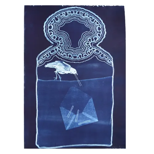 Cyanotype-selections