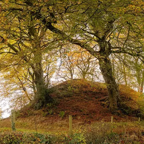 Echoes_in_the_landscape copy