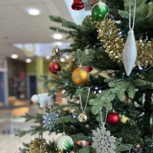 FF-ChristmasIMG_5940