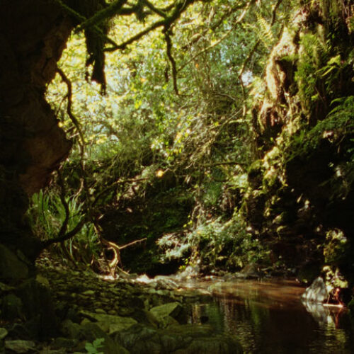 POLLANROE_BURN_1.26.1