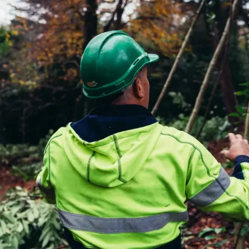 UFM - BTS Conservation Walk