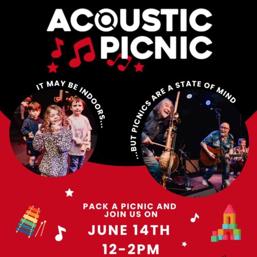 acoustic-picnic