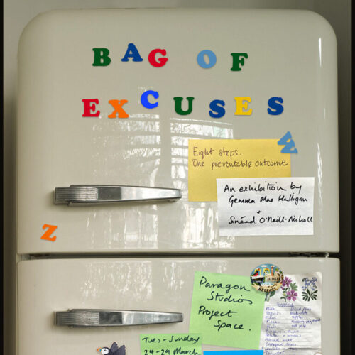 bag-of-excuses-poster-with-logos-small-768x960