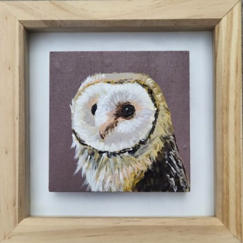 barn-owl