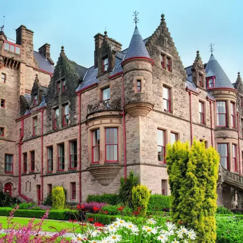 belfast-castle-flowers copy