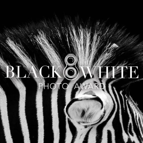 bwphotoawards-hero-background