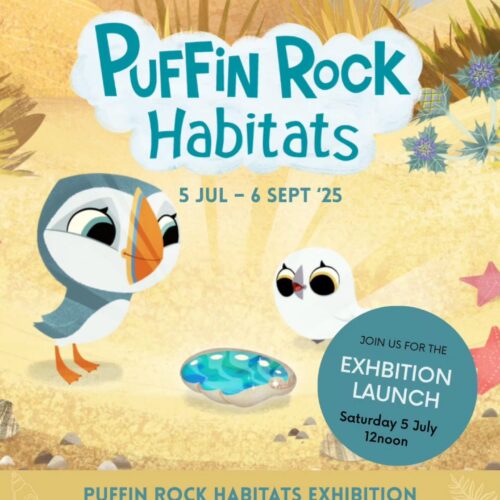 puffin-rock
