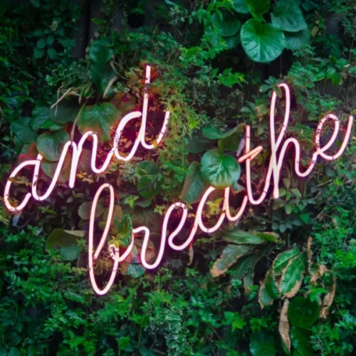 self-care-workshops-header